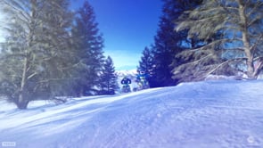 DxD Winter 2012 - Snowmobile