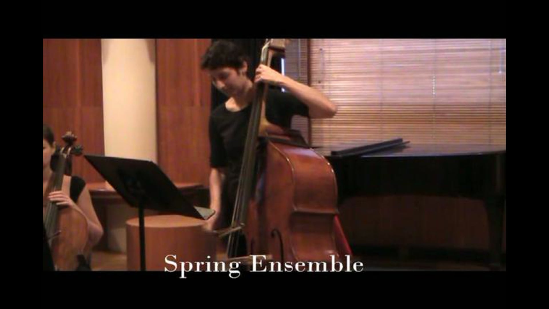 Promotional video thumbnail 3 for Wedding Musicians