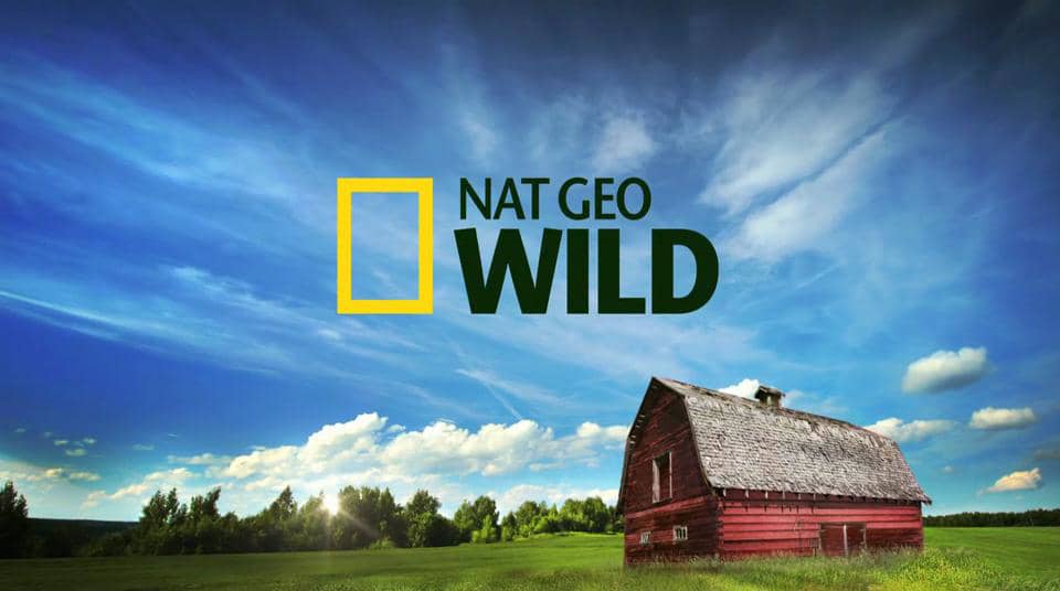 Nat Geo Wild - Dr. Pol on Vimeo