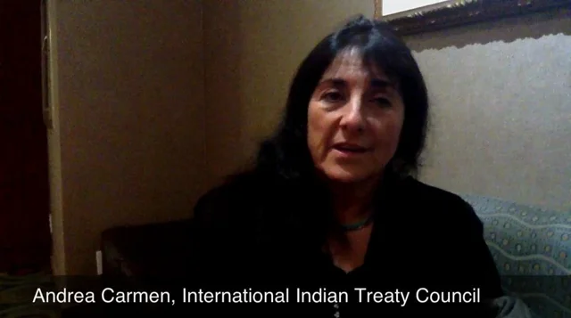 International Indian Treaty Council