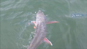 Frontside Fly Fishing