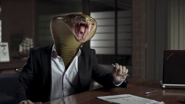 animal head people - inspiring tv commercial video