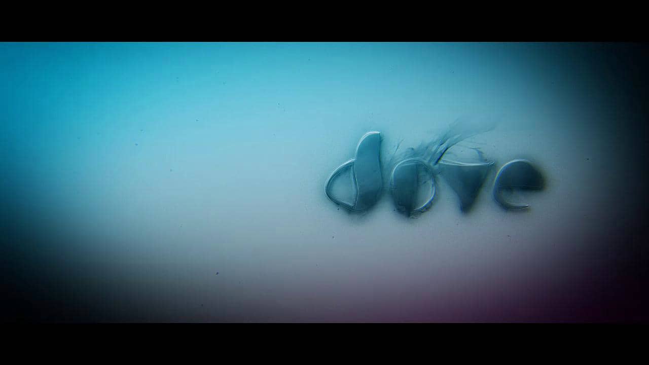 The Dove Reel 2011 on Vimeo