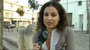 Molta feina per Alèxia Hampartzoumian