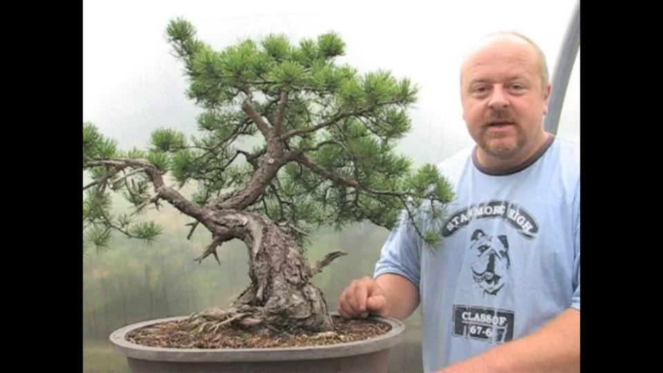 Creating Bonsai Trees - Scots Pine.