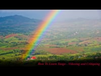Sample Video