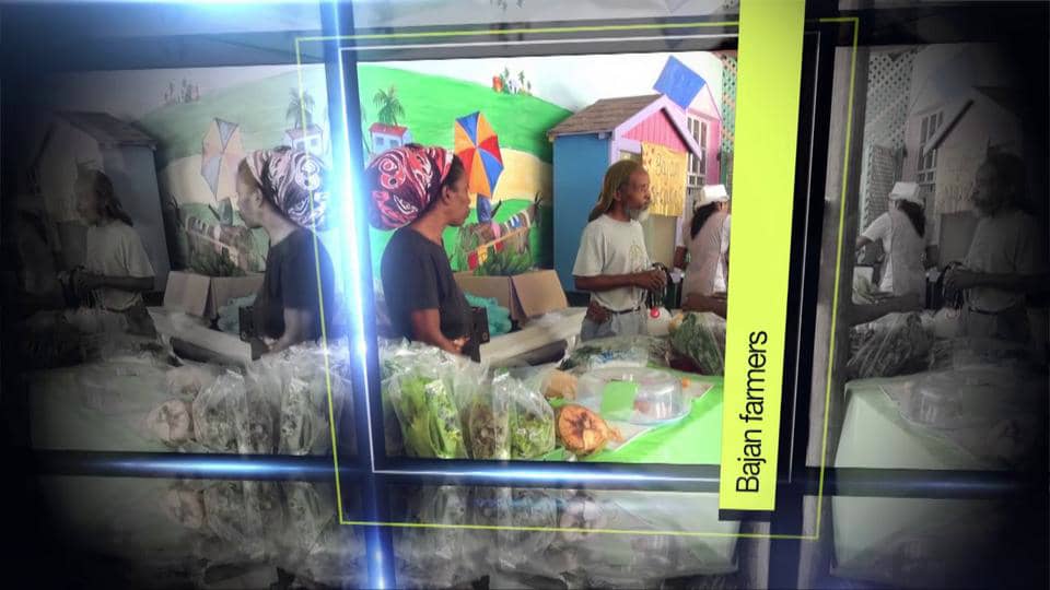 Holders Farmers Market...Holders House & Grounds, St James, Barbados