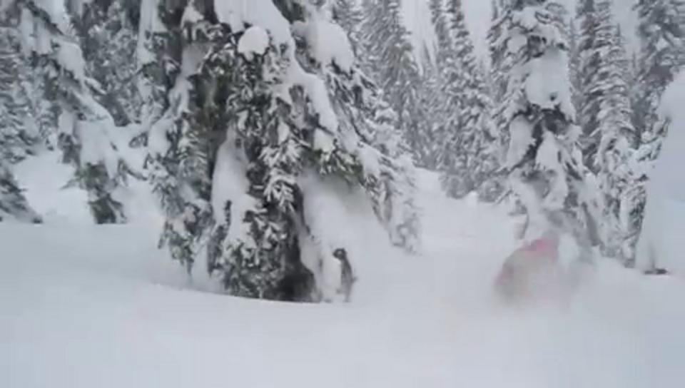 Powder Creek Lodge Backcountry Skiing Video v1 on Vimeo