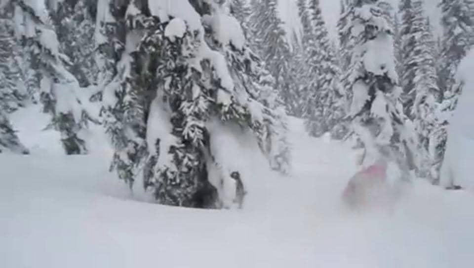 Powder Creek Lodge Backcountry Skiing Video v1 on Vimeo
