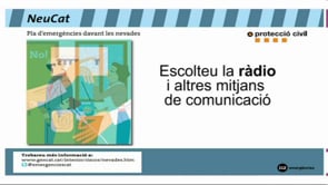 Consells davant la neu