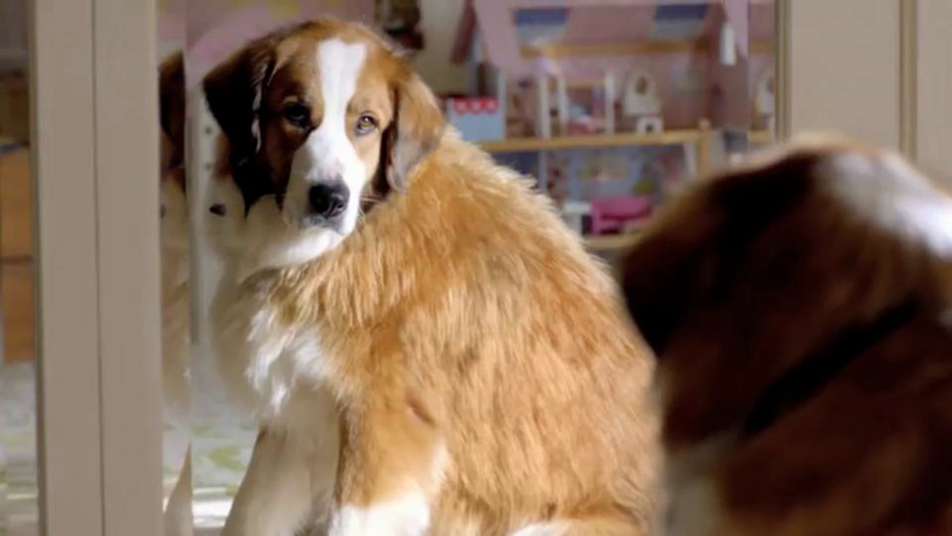 The Dog Strikes Back_ 2012 Volkswagen Game Day Commercial