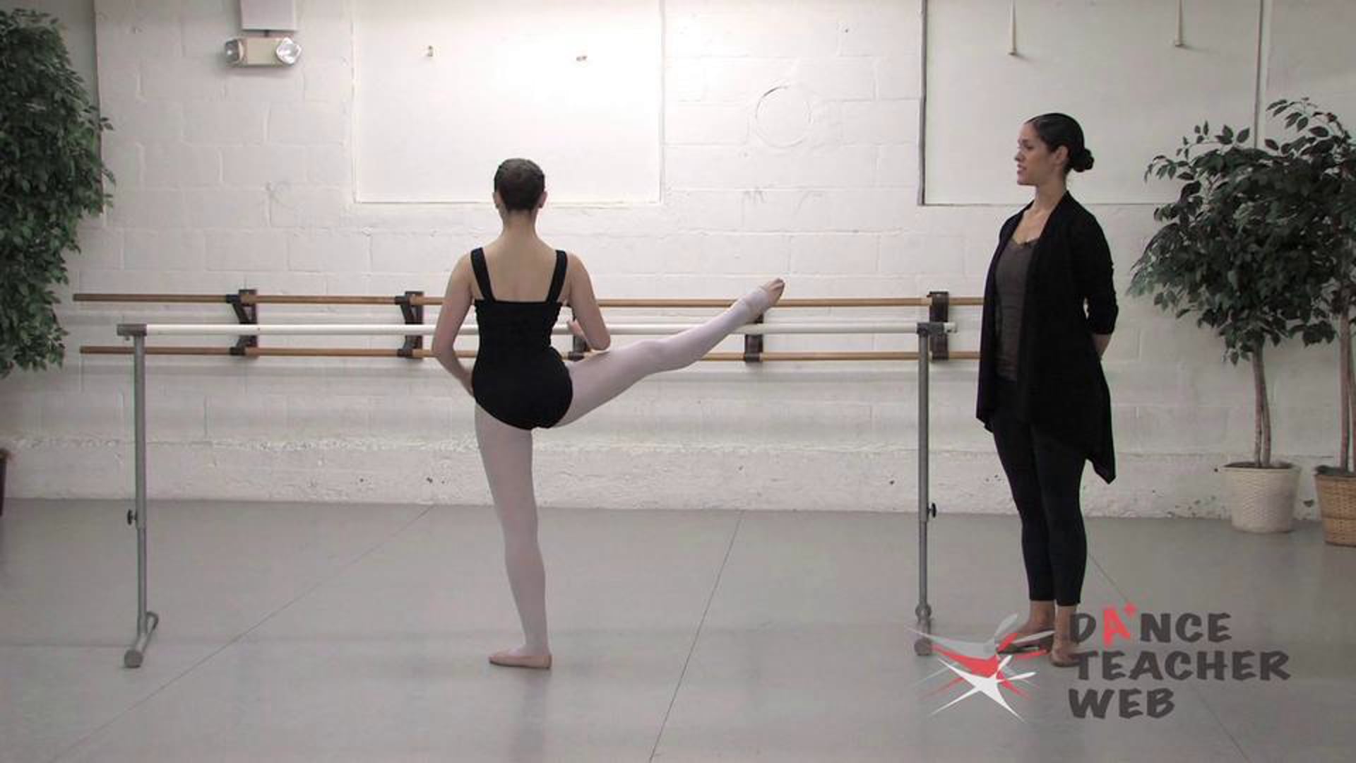 Ballet barre online online