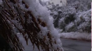 Temperatures molt baixes