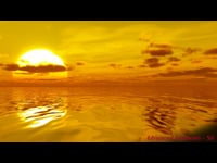 Sample Video