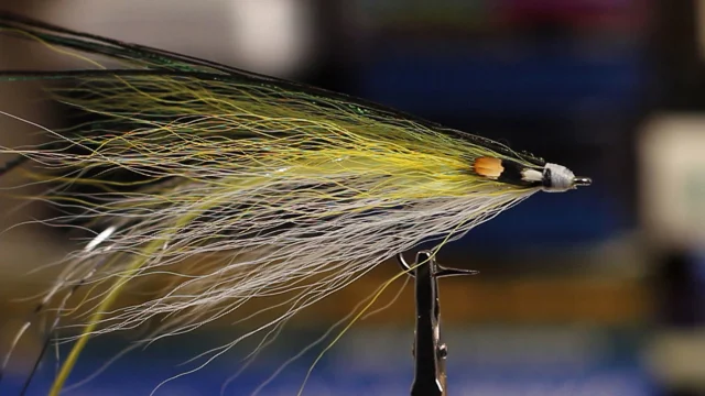 DiscountFlies Pike & Muskie Fly Fishing Flies – Fishing Kit w/6