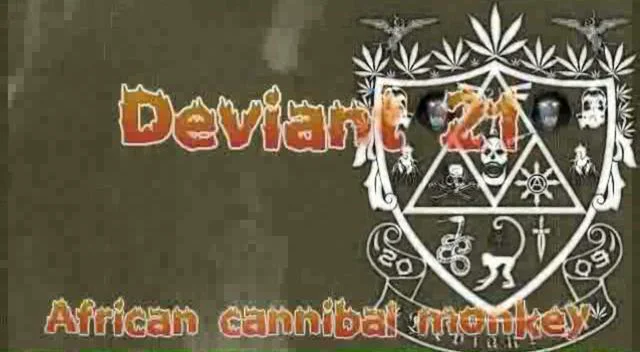 D21 - African Cannibal Monkey