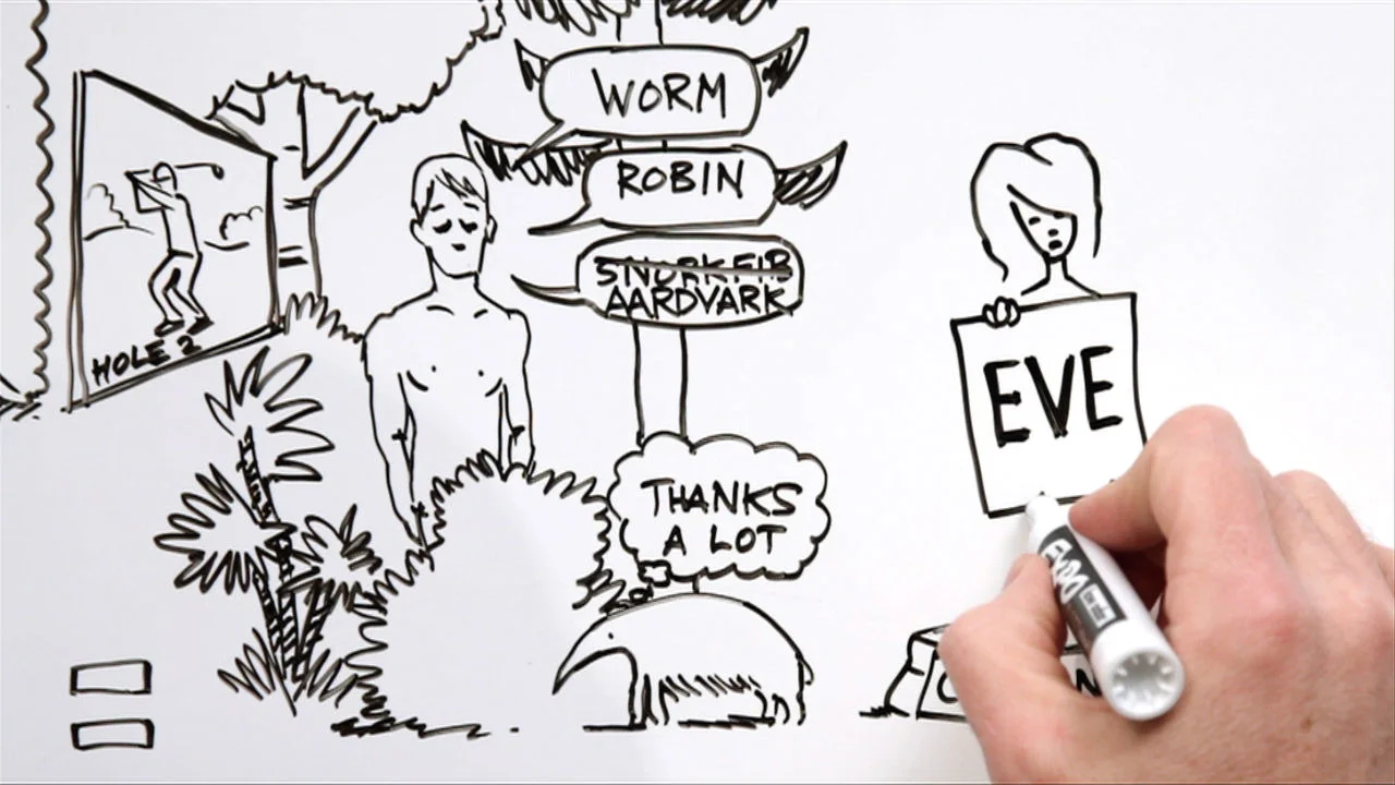 Whiteboard Bible 1 Creation