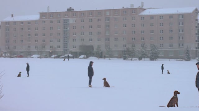 Hypermountain Street from HyperMountain