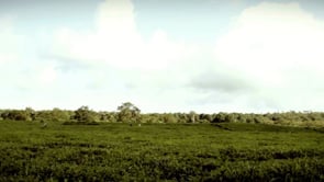 Mauritius