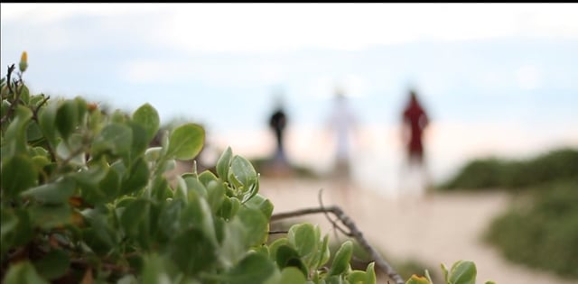 Don’t Fear Me Gypsy from Jacob Wooden