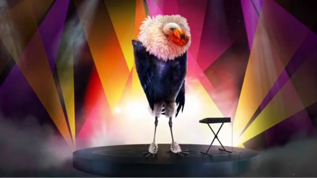 eurovision song birds -promo from metro sweden
