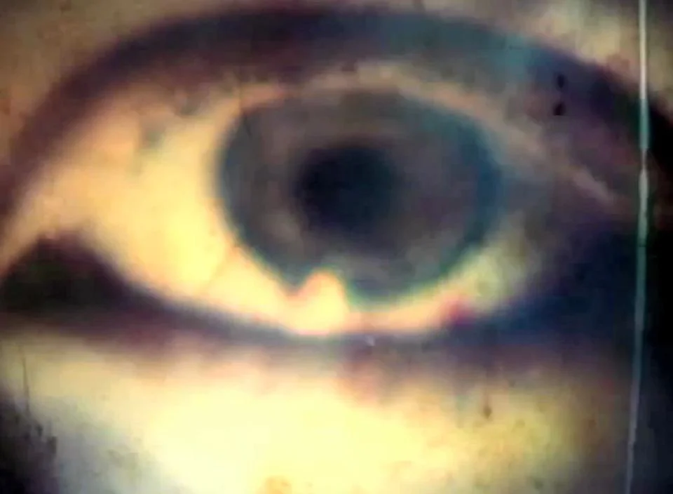 viDEO sAVant International House Philadelphia on Vimeo