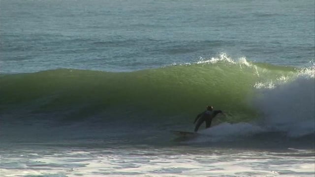 ” On a Dime ” Trailer from Schaub Dog Productions