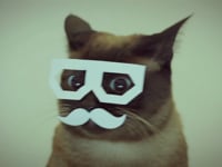 Stereo Skifcha