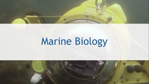 Marine Biology