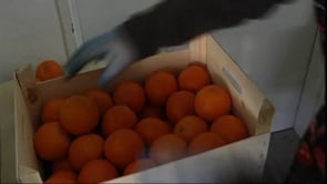 Fruita a l'escola