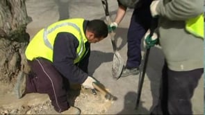 Proves per renovar el paviment del passeig