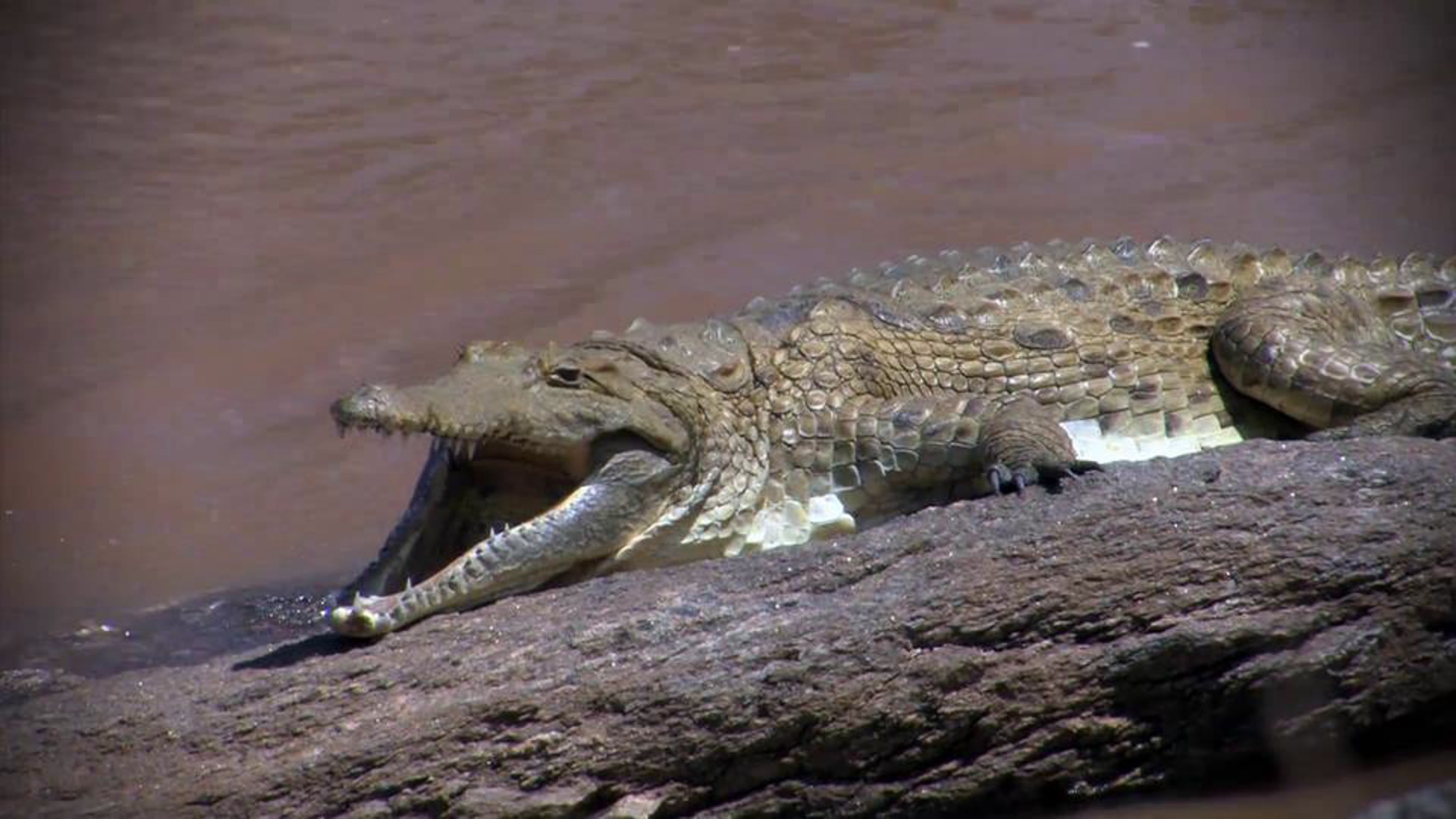 Discover your inner scientist