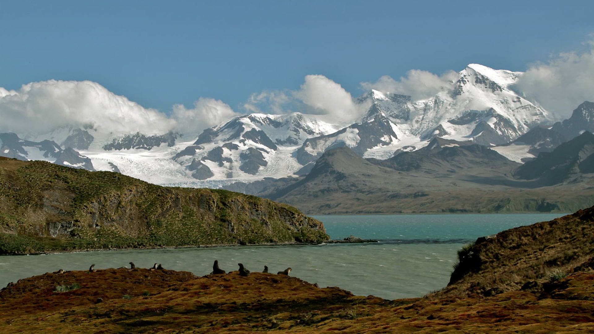 South Georgia - Hike Across the Island - Beyond Humanity