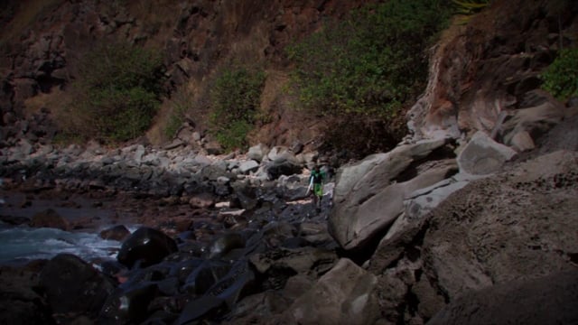 Altered Motives from Auxiliary Studios