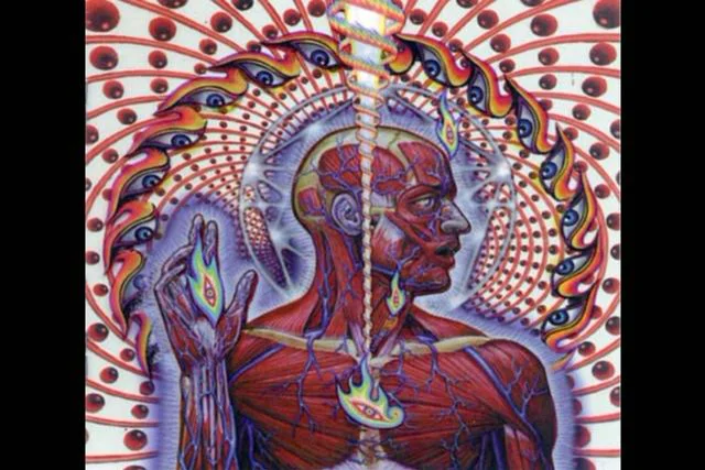 tool lateralus album cover