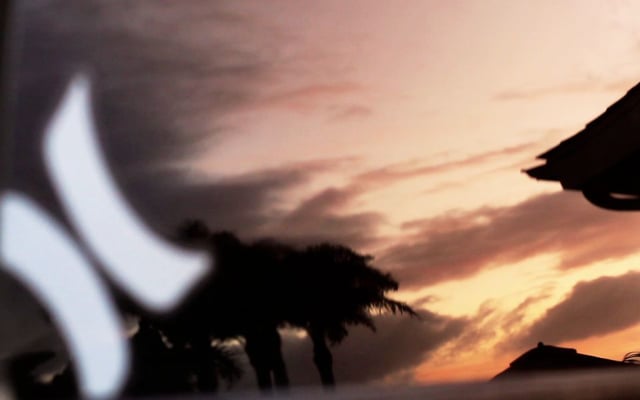 Roll the bOnes from michael lopez