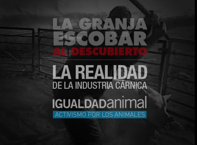 Condenados dos trabajadores de la granja de cerdos El Escobar proveedora de El Pozo