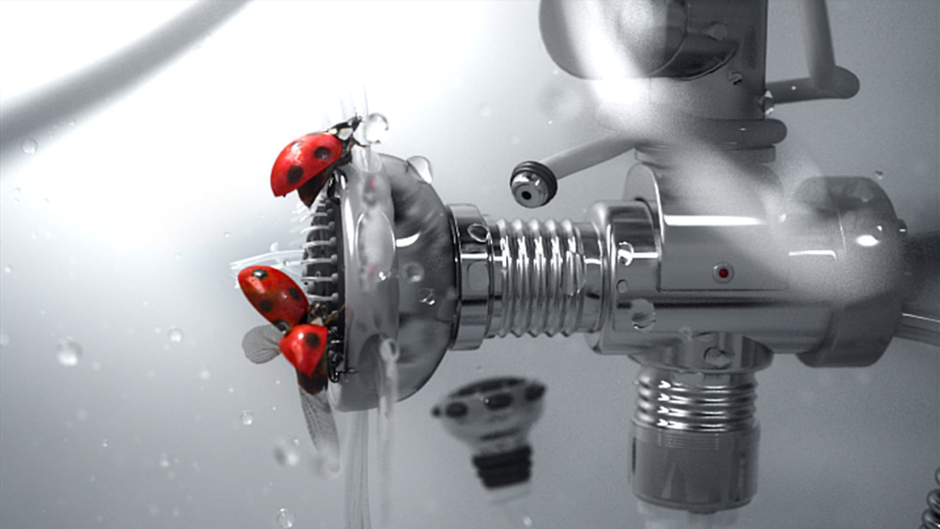 Ideal store. "Ladybugs". TV Commercial