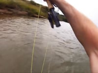 Vaal river fishing