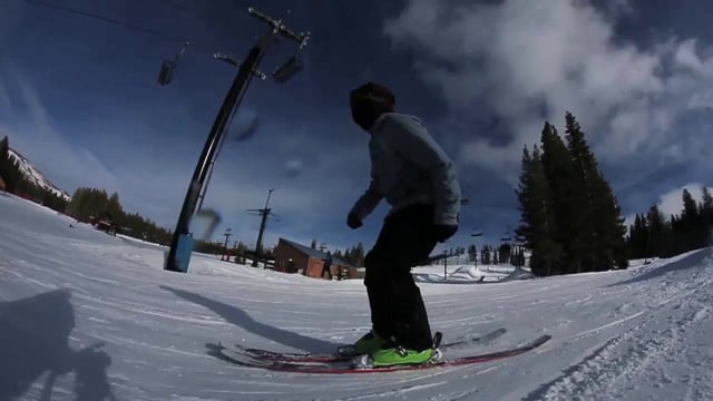 Defenders of Possum from Ryan Hackbarth