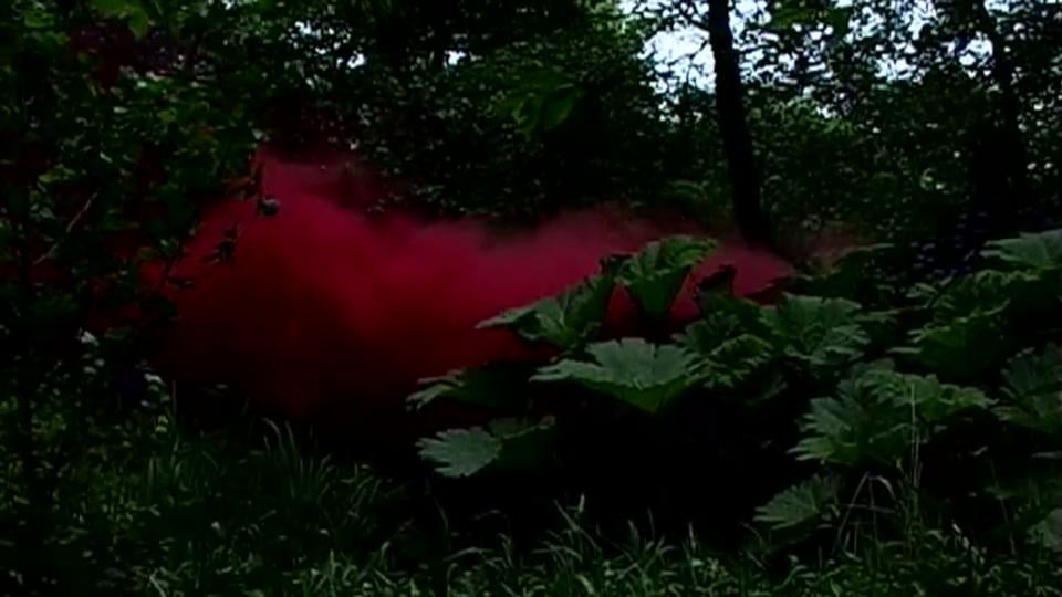 Simon Patterson - Winterbourne garden intervention