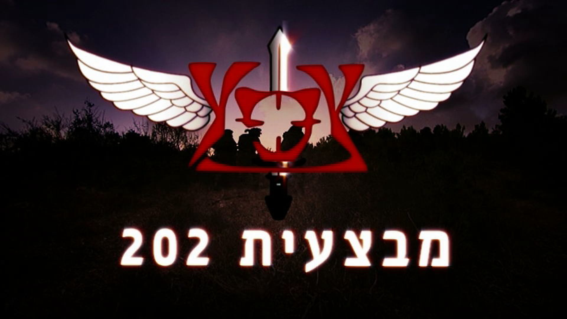 מבצעית 202- צנחנים