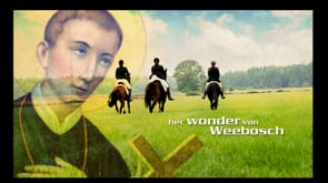 Trailer Wonder van Weebosch