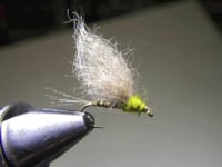 Quill Bodied BWO Dun