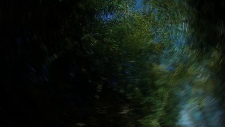 Flight on Vimeo