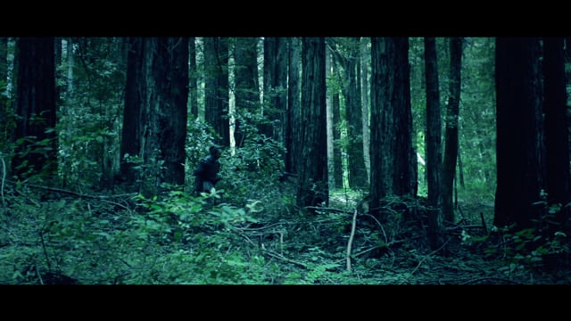 Baths - Lovely Bloodflow thumbnail