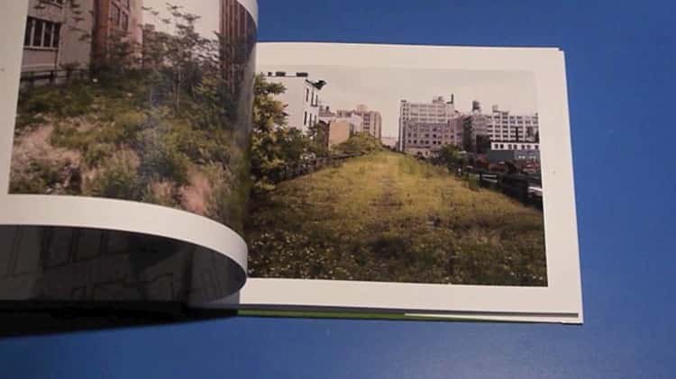 Joel Sternfeld - Walking The High Line