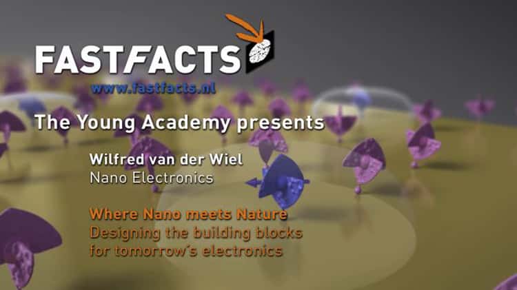 Wilfred van der Wiel  Home of Nano Electronics