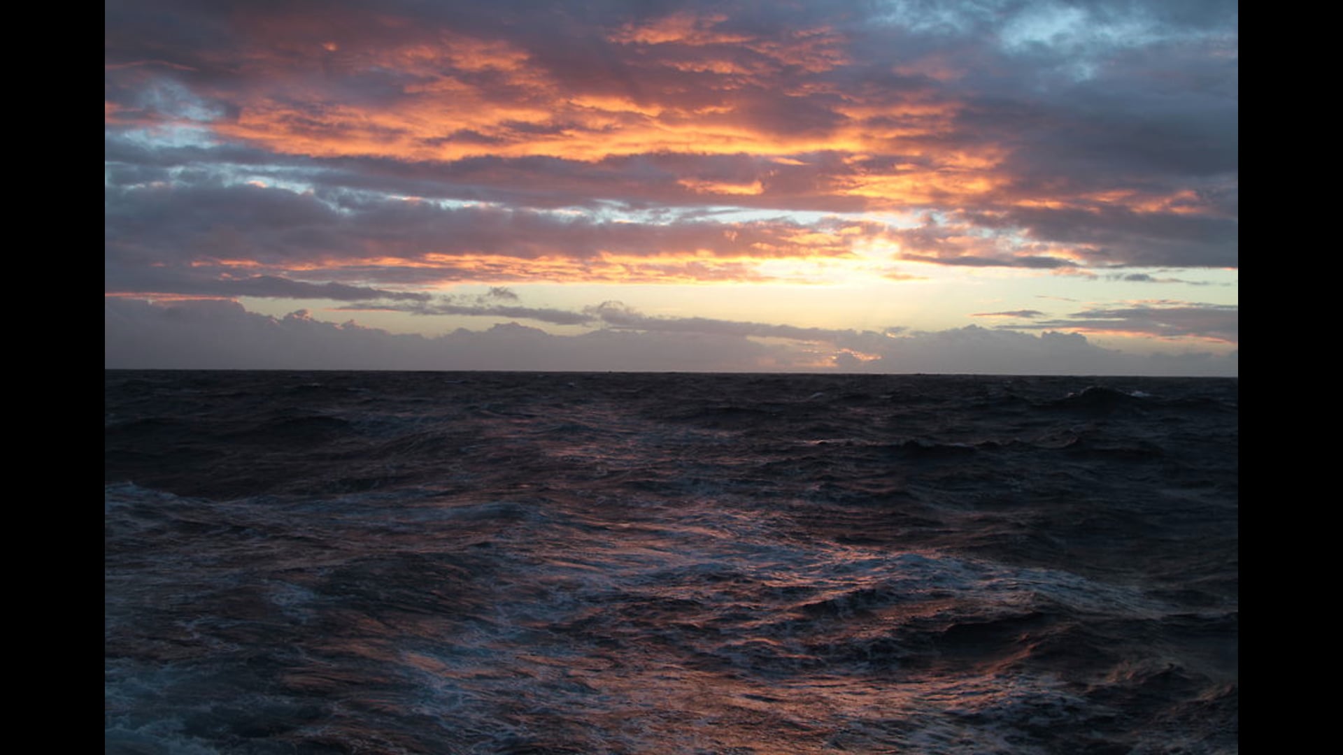 Our Vela Incident