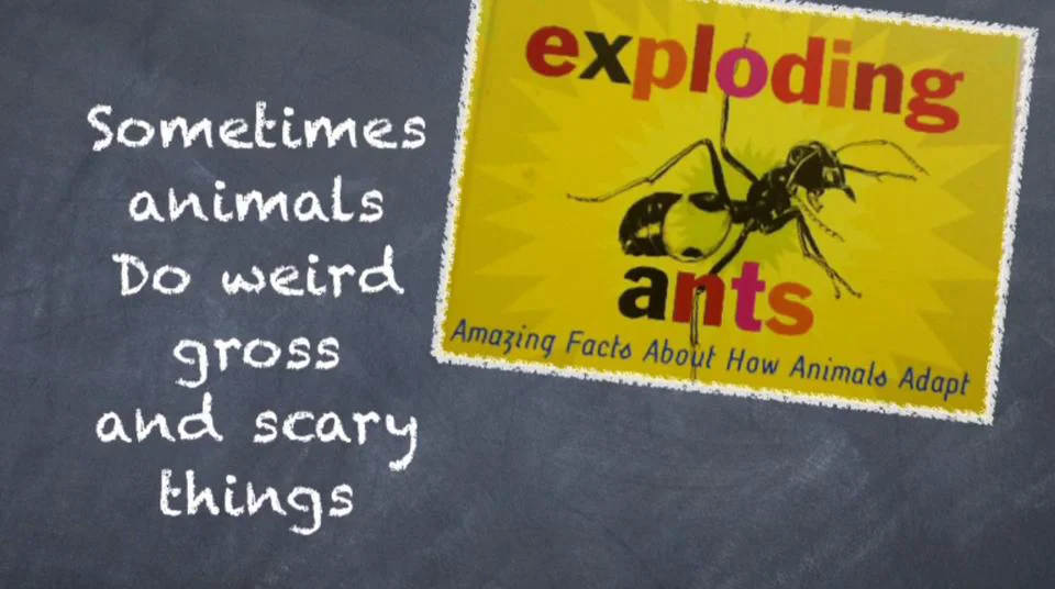 Exploding Ants on Vimeo
